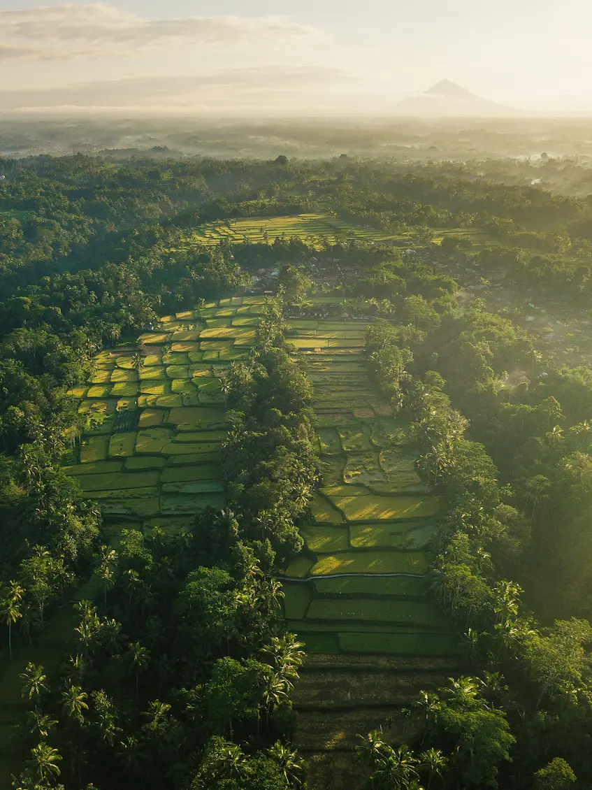 Landscape